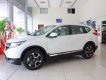 Honda CR V 2019 - Bán ô tô Honda CR V năm 2019, màu bạc, nhập khẩu nguyên chiếc