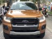 Ford Ranger  Wildtrak 2.0 Bi-Turbo 2018 - 0901550578 - Ford Ranger Wildtrak 2.0 Bi-Turbo, KM khủng tặng ngay nắp thùng hoặc BHTV + Dán Film cách nhiệt