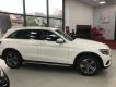 Mercedes-Benz GLC-Class GLC200 2018 - Bán Mercedes GLC200, an toàn, thể thao, cá tính và mạnh mẽ. LH 0965075999