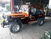 Jeep Wrangler 1996 - Cần bán lại xe Jeep Wrangler sản xuất 1996, xe nhập chính chủ