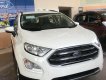 Ford EcoSport Titanium 1.5L 2019 - Bán Ford EcoSport Titanium 1.5L đời 2019, màu trắng, giá sốc cuối năm
