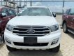 Ford Everest   2.2 4X2 AT  2018 - Bán ô tô Ford Everest 2.2 4X2 AT sản xuất năm 2018, màu nâu, giá tốt