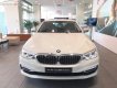 BMW 5 Series 530i Luxury Line 2018 - Bán ô tô BMW 5 Series 530i Luxury Line năm sản xuất 2018, màu trắng, xe mới 100%