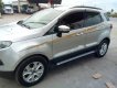 Ford EcoSport 2017 - Bán Ford EcoSport đời 2017, màu bạc, xe nhập