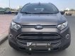 Ford EcoSport Titanium 2016 - Bán Ford EcoSport Titanium sản xuất năm 2016, màu xám (ghi), 535 triệu