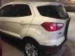 Ford EcoSport Titanium  2015 - Bán Ecosport Titanium cuối 2015, xe 1 đời chủ biển SG, odo 46.000km