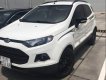 Ford EcoSport 2017 - Chính chủ bán Ford EcoSport đời 2017, màu trắng