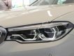 BMW 5 Series 530i Luxury Line 2018 - Bán ô tô BMW 5 Series 530i Luxury Line năm sản xuất 2018, màu trắng, xe mới 100%