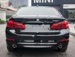 BMW 5 Series 530i 2019 - Bán xe BMW 5 Series 530i sản xuất 2019, màu đen, nhập khẩu Đức