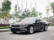 BMW 5 Series 530i 2019 - Bán xe BMW 5 Series 530i sản xuất 2019, màu đen, nhập khẩu Đức