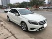 Mercedes-Benz A class A200 2014 - Cần bán Mercedes A200 model 2015 nhập nguyên chiếc tại Đức, odo 2 vạn mới đến 99%