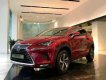 Lexus NX 300 2019 - Bán Lexus NX 300 sản xuất năm 2019, màu đỏ, nhập khẩu