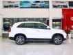 Kia Sorento 2WD GAT 2019 - Bán ô tô Kia Sorento đời 2017, giá chỉ từ 799 triệu
