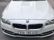 BMW 5 Series 520i 2013 - Bán ô tô BMW 5 Series 520i năm sản xuất 2013, màu trắng, nhập khẩu 