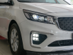 Kia Sedona 2.2 DAT 2019 - Bán ô tô Kia Sedona 2.2 DAT sản xuất 2019, màu trắng