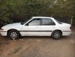 Honda Accord 1987 - Bán Honda Accord 1987, màu trắng, nhập khẩu, giá chỉ 45 triệu