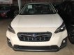 Subaru XV 2.0 I-S Eyesight 2019 - Cần bán Subaru XV 2.0 I-S Eyesight đời 2019, màu trắng, xe giao ngay