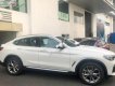 BMW X4 xDrive20i 2019 - Bán BMW X4 xDrive20i 2019 thế hệ hoàn toàn mới, xe nhập khẩu nguyên chiếc