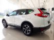 Honda CR V 2019 - Cần bán Honda CR V sản xuất 2019, nhập khẩu nguyên chiếc, giá tốt