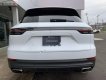 Porsche Cayenne 3.0 V6 2019 - Bán Porsche Cayenne 3.0 V6 sản xuất năm 2019, màu trắng, xe nhập  