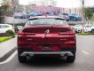 BMW X4 xDrive20i 2019 - Bán BMW X4 xDrive20i sản xuất 2019, màu đỏ, nhập khẩu 