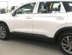 Hyundai Santa Fe     2019 - Bán ô tô Hyundai Santa Fe sản xuất 2019, màu trắng