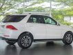 Mercedes-Benz GLE-Class  400 Exclusive   2016 - Mercedes-Benz Phú Mỹ Hưng cần bán GLE400 Exclusive cao cấp nhất, 05 chỗ, đăng ký biển số tháng 05/2018