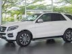 Mercedes-Benz GLE-Class  400 Exclusive   2016 - Mercedes-Benz Phú Mỹ Hưng cần bán GLE400 Exclusive cao cấp nhất, 05 chỗ, đăng ký biển số tháng 05/2018