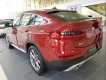 BMW X4 xDrive 20i   2019 - Bán BMW X4 xDrive 20i năm sản xuất 2019, màu đỏ, nhập khẩu 