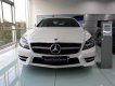 Mercedes-Benz CLS class  CLS350   2018 - Cần bán xe Mercedes CLS350 đời 2018, màu trắng, nhập khẩu, mới 100%