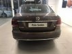 Volkswagen Polo 2019 - Cần bán xe Volkswagen Polo 2019, màu nâu, nhập khẩu
