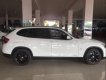 BMW X1 2010 - Bán xe BMW X1 đời 2010, màu trắng