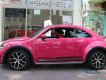 Volkswagen Beetle Dune 2018 - Bán Volkswagen Beetle Dune là mẫu xe huyền thoại