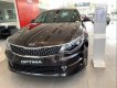 Kia Optima   2017 - Bán Kia Optima sản xuất năm 2017