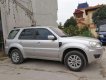 Ford Escape   XLS   2009 - Bán Ford Escape XLS sản xuất năm 2009, màu bạc
