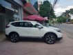 Honda CR V 1.5 -L 2018 - Bán Honda CR V đời 2018, màu trắng, nhập khẩu, đủ màu, đủ bản