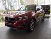 BMW X6 2018 - Bán xe BMW X6 sản xuất 2018