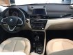 BMW X1 2018 - Bán BMW X1 đời 2019, màu nâu, nhập khẩu