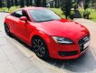 Audi TT 2009 - Bán ô tô Audi TT 2009, xe nhập giá cạnh tranh