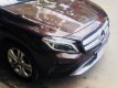 Mercedes-Benz GLA-Class 200 2014 - Bán Mercedes GLA200 sản xuất năm 2014, nhập khẩu nguyên chiếc