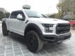 Ford F 150 2019 - Bán siêu bán tải Ford F150 Raptor 2020 giá tốt, giao ngay