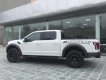 Ford F 150 2019 - Bán siêu bán tải Ford F150 Raptor 2020 giá tốt, giao ngay