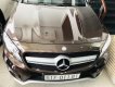 Mercedes-Benz GLA-Class GLA45  2014 - Bán ô tô Mercedes-Benz GLA-Class đời 2014, màu nâu nhập khẩu nguyên chiếc