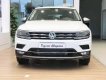 Volkswagen Tiguan    2019 - Cần bán Volkswagen Tiguan cao cấp năm 2019, màu trắng, nhập khẩu