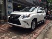 Lexus GX 460 2017 - Bán Lexus GX 460 sản xuất năm 2017, màu trắng, xe nhập