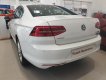 Volkswagen Passat Blue Motion 2018 - Bán Volkswagen Passat Blue Motion - trắng