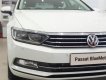 Volkswagen Passat Blue Motion 2018 - Bán Volkswagen Passat Blue Motion - trắng