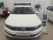 Volkswagen Passat Blue Motion 2018 - Bán Volkswagen Passat Blue Motion - trắng