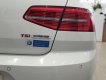 Volkswagen Passat Blue Motion 2018 - Bán Volkswagen Passat Blue Motion - trắng