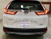 Honda CR V G 2019 - Cần bán Honda CR V G năm 2019, màu trắng, nhập khẩu